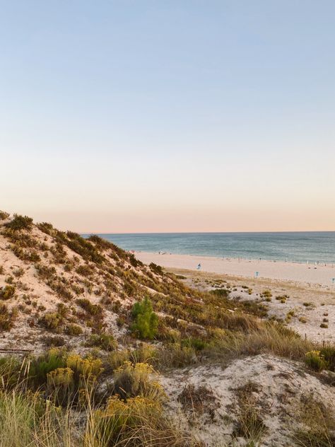 Sol Tróia Blue sky wild nature beautiful widlflowers dune moon sunset beach sea ocean Moon Sunset, Wild Nature, Sunset Beach, Sand Dunes, Sea Ocean, Nature Beautiful, Beach Sunset, Blue Sky, Moon