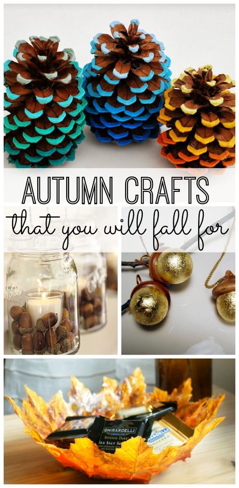 10 simple Autumn crafts that you will fall for. Simple Autumn Crafts, Warm Apple Cider, Easy Fall Crafts, Diy Halloween Projects, Apartment Diy, Fall Crafts Diy, Autumn Crafts, Cool Ideas, Thanksgiving Crafts