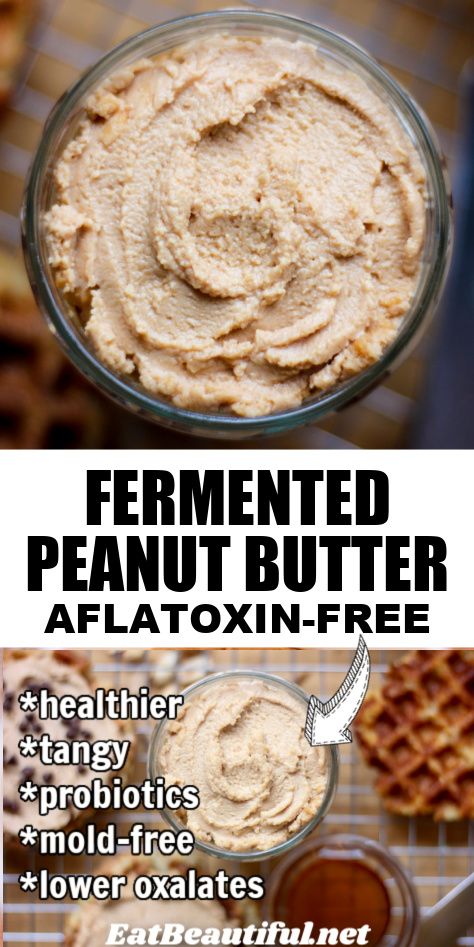 Fermented Peanut Butter, Fermented Desserts, Easy Fermented Foods, Fermented Applesauce, Fermented Oats, Fermented Condiments, Fermented Grains, Wapf Recipes, Fermented Beans