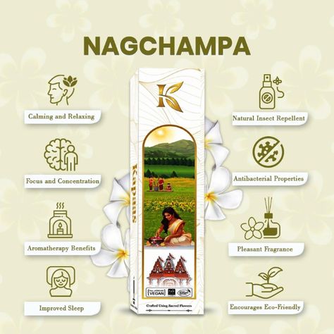 “Fill your space with serene tranquility! Our Nag Champa agarbatti embodies the essence of spiritual bliss. [NagChampa ,agarbatti ] #NagChampaLove #AgarbattiObsession #AromaticBliss #SpiritualVibes #HomeDecorEssentials #WellnessEssentials” Nag Champa Incense Meaning, Incense Meaning, Nag Champa Incense, Aromatherapy Benefits, Nag Champa, Motion Graphics Inspiration, Natural Insect Repellant, Insect Repellent, Graphics Inspiration