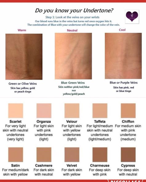 https://www.youniqueproducts.com/DonnaMGomezMarshall/products/landing Different Undertones Skin, How To Know Your Skin Undertone, How To Know Undertone Skin, Foundation For Deep Winter, Best Foundation For Dark Skin, Colour Palette For Neutral Skin Tone, Cool Skin Tone Makeup Looks, Best Hair Colors For Neutral Skin Tones, Skin Undertones How To Tell