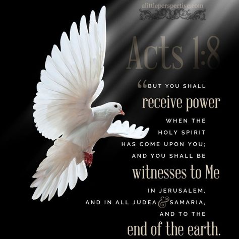 Acts 1:8 | scripture pictures at alittleperspective.com Calin Gif, Frida Art, Embossed Wallpaper, White Dove, Scripture Pictures, Ends Of The Earth, Wallpaper Animes, Pentecost, White Doves