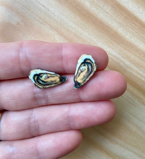 Oyster Sea Shell Summer Fun Earrings Studs Fake Food DIY Stud Earrings Seafood Sardines Anchovy Anchovies Tinned Fish Fake Food Diy, Diy Stud Earrings, Oyster Earrings, Louisiana Gifts, Tinned Fish, Piercing Inspo, Spiral Shell, Quirky Jewelry, Oyster Pearl