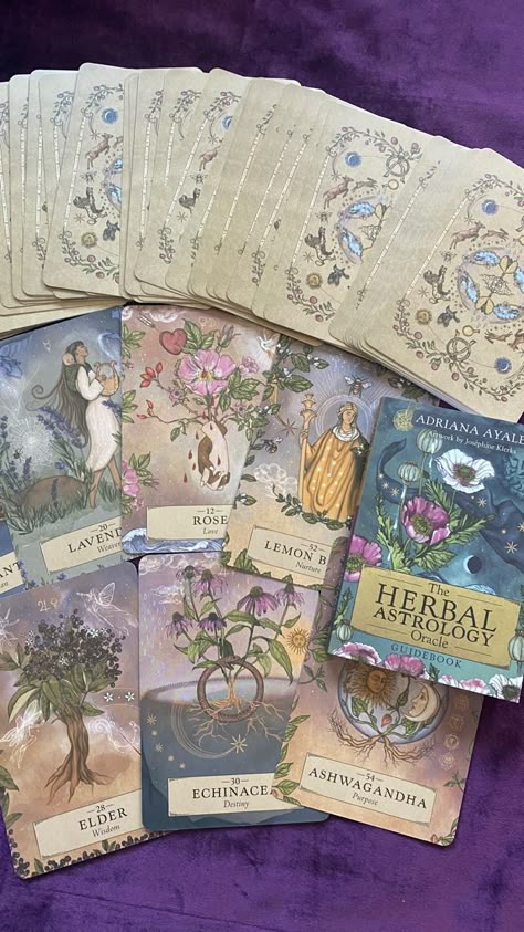 The herbal astrology oracle deck by Adriana Ayales. Elder, Ashwagandha, lemon balm, lavender. Good Tarot Cards, Pretty Tarot Cards, Oracle Deck Aesthetic, Oracle Cards Aesthetic, Tarot Decks Beautiful, Flower Tarot Cards, Tarot Cards Aesthetic, Herbal Astrology, New Tarot Deck