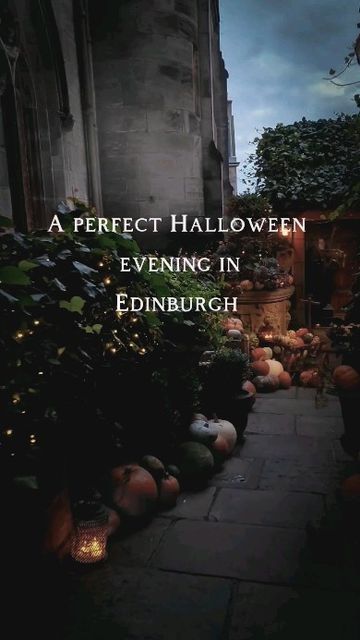 Loida on Instagram: "Here are some ideas to enjoy a spooky evening in Edinburgh! Give us a follow for more Scotland adventures and inspo ✨️ 📍Hot chocolate from Uplands Roast in the Meadows 📍Witchy Shop @blackmoonbotanica 📍Greyfriars Kirkyard 📍@frankensteinpub converted church pub 📍Victoria Street 📍Halloween decorations @thewitcherybythecastle . . #Edinburgh #edinburghlife #halloween #igersedinburgh #reels #edinburghcity #visitscotland #outandaboutscotland #scotspirit #darkacademia #cosy #w Witchy Shop, Pumpkin Song, Converted Church, Edinburgh City, Visit Scotland, The Meadows, Scotland Travel, Beautiful Places To Travel, Some Ideas