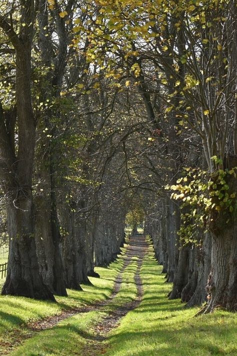 Irish Countryside House, Irish House Aesthetic, Irish Landscape Aesthetic, Ireland Countryside Landscapes, Irish History Aesthetic, Ireland Cottage Aesthetic, Irish Astetic, Irish Countryside Cottage, Photos Of Ireland