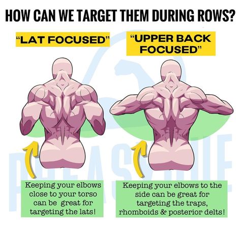 Eugen Loki, Pheasyque® på Instagram: "Rows, along with their variations, are highly effective for overall back development. This exercise can be employed to specifically engage…" Accessory Workout, Iliac Crest, Muscles In The Back, Pull Day Workout, Abs And Obliques Workout, Back Day Workout, Calisthenics Training, Gym Workout Guide, Latissimus Dorsi