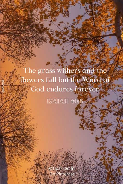 Fall Christian Asthetic, Cute Bible Verses Wallpapers Fall, September Christian Wallpaper, Fall Aesthetic Scripture, Fall Phone Wallpaper Bible Verse, Religious Fall Wallpaper, Autumn Scripture Wallpaper, Fall Catholic Wallpaper, Autumn Bible Aesthetic