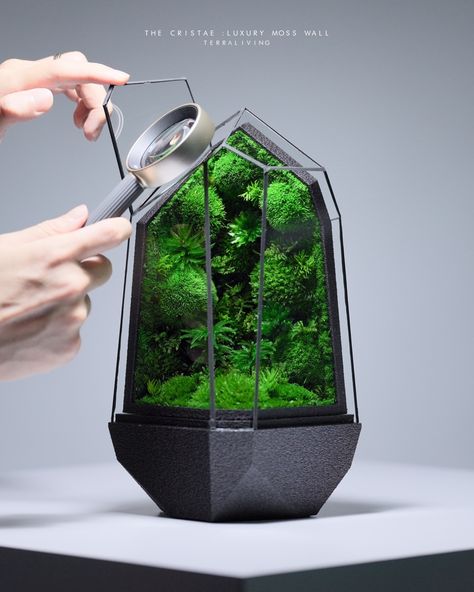 [Preserved Moss Terrarium] Introducing “The Cristae - Luxury Moss Wall”, hosting seven distinct ZERO Moss species. A design inspired by cristae, the folds in the inner mitochondria membrane that increase the inner membrane’s surface area where energy production occurs in mitochondria. Mitochondria are the “nuclear reactors” or powerhouses of the cell. They are double membrane-bound organelles found in most eukaryotic organisms (ranging from plants to animals). Advanced life forms like us, ... Moss Terrarium, Preserved Moss, Moss Wall, Life Form, The Cell, Surface Area, A Design, Terrarium, Energy