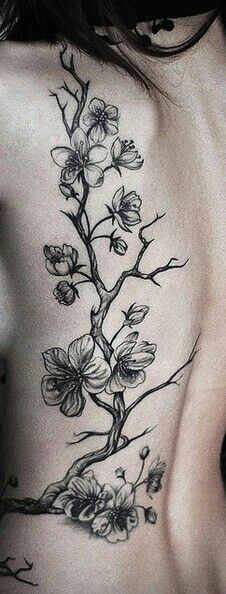 Cherry blossom black & gray tattoo Cherry Tree Tattoos, Tree Tattoo Back, Blossom Tree Tattoo, Girl Back Tattoos, Flower Tattoo Back, Tree Tattoo Designs, Pieces Tattoo, Japanese Tattoos, Blossom Tattoo