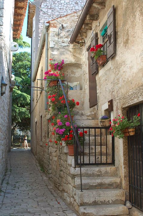 Cavtat Croatia, Windows And Doors, Croatia, Flowers, Photography, Art