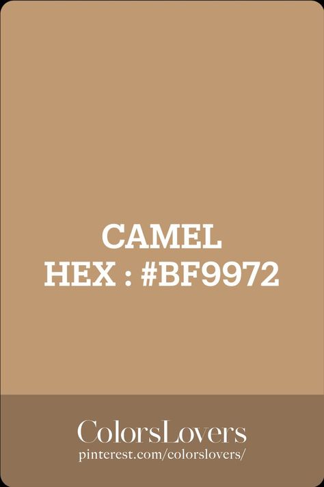 CAMEL Camel Color Palette, Deep Autumn Palette, Soft Autumn Palette, Autumn Palette, Hex Color, Garage Studio, Pantone Colour Palettes, Colour Analysis, Colour Wheel