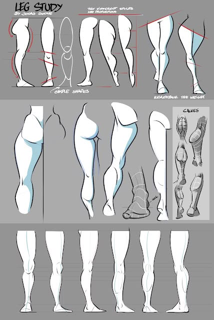 Leg Study, Drawing Legs, Body Drawing Tutorial, Human Anatomy Drawing, Human Anatomy Art, Anatomy Sketches, Body Reference Drawing, Anatomy For Artists, Sketches Tutorial