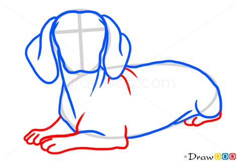 Dachshund Art Painting, Dashound Drawings, How To Draw A Dachshund, Daushound Dogs, Octagon Picnic Table, Dachshund Drawing, Dachshund Painting, Dog Drawing Tutorial, Dachshund Dogs