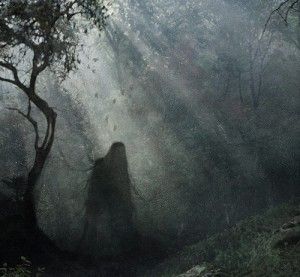 Haunted Forest of Romania | Hoia Baciu, has many stories that cover Ghosts and spirits to ufo's. It harbprs a circle in which plants cannot grow. Hoia Baciu Forest, Shadow People, Haunted Forest, The Boogeyman, Paranormal Activity, Most Haunted, The Paranormal, Haunted Places, Ghost Stories