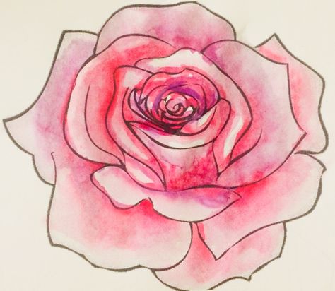 Double Delight Rose, Rose Outline, Pencil Drawings Of Flowers, Paintings Easy, Rose Sketch, Light Pink Rose, Roses Drawing, Watercolor Paintings Easy, Art Pencil