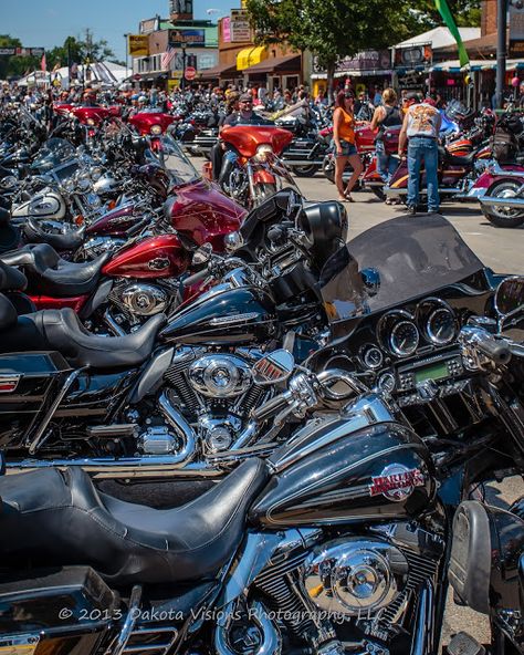 Bike Parade, Sturgis Bike Week, Motorcycle Street, Biker Rallies, Wildlife Landscape, Sturgis Rally, Harley Fatboy, Ride Motorcycle, Photography Social Media