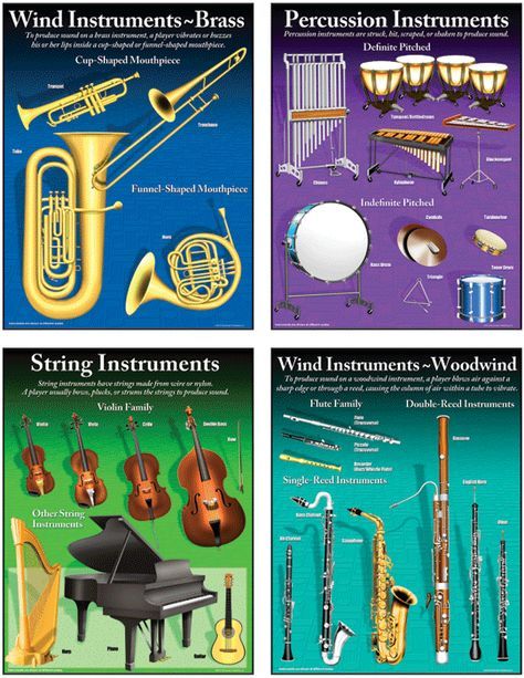 School Website Templates, Orchestra Instruments, Music Theory Lessons, Music Teaching Resources, Music Genius, Music Curriculum, Primary Music, Music Appreciation, Music Ed