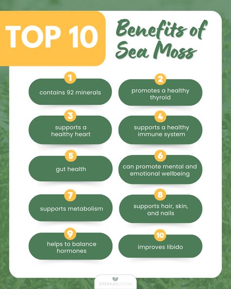 Learn about the nutritional benefits of Irish Sea Moss, Chaga and Lion's Mane, and a new way to consume sea moss! Irish Sea Moss Benefits, Sea Moss Benefits, Irish Sea Moss, Plant Based Lunch, How To Thicken Sauce, Sea Vegetables, Lion's Mane, Vegan Nutrition, Irish Sea