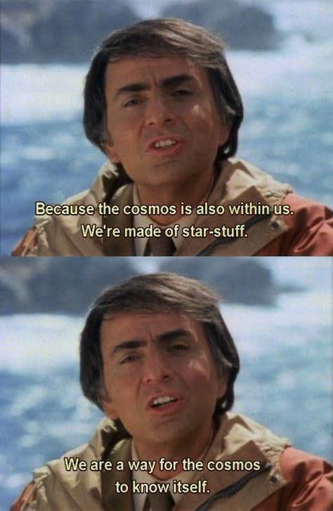 From Carl Sagan's Cosmos. People Perspective, Cosmos Quotes, Carl Sagan Cosmos, Science Rules, Best Colleges, Online College, Carl Sagan, Quotes Happy, Happy B Day