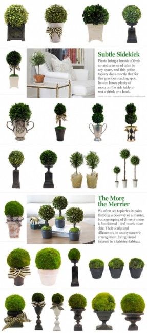 Deco Champetre, Artificial Topiary, Topiary Garden, Boxwood Topiary, Moss Balls, Topiary Trees, Urban Garden, Inspiration Ideas, Garden Inspiration