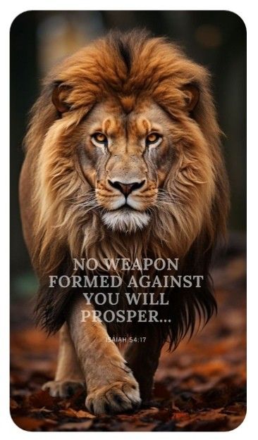 Lion Bible Verse, Lion Of Judah Jesus, Healing Bible Verses, Bible Quotes Images, Powerful Bible Verses, Like A Lion, Christian Pictures, Biblical Verses, Prayer Scriptures