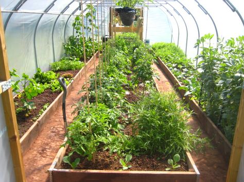 Poly tunnel, earlier this year Greenhouse Planting Layout, Polytunnel Ideas, Serre Diy, Greenhouse Inspiration, Planting Layout, Poly Tunnel, Vege Garden, House Planter, Outdoor Greenhouse