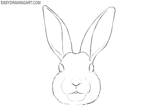 How to Draw a Bunny Face | Easy Drawing Art How To Draw A Bunny Face, How To Draw A Rabbit Face, Bunny Drawing Reference, Draw A Bunny, Mountain Animals, Mister Finch, Drawing Crafts, Bunny Sketches, Rabbit Artwork