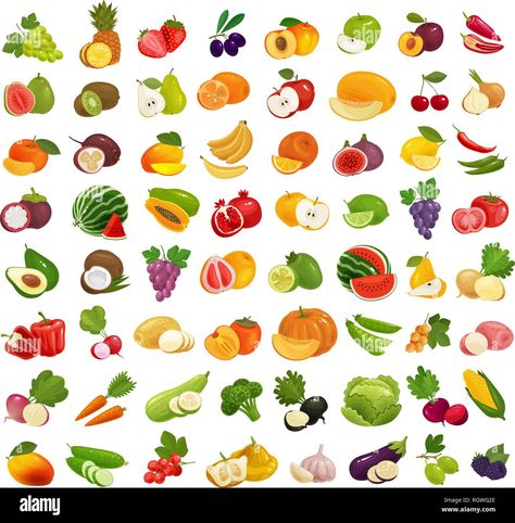 Descargar este vector: Conjunto de frutas y verduras. Comida fresca, comer sano concepto. Ilustración vectorial - RGWG2E de la biblioteca de Alamy de millones de fotografías, ilustraciones y vectores de alta resolución. Veggies Drawing, Vegetable Drawing, Vegetable Coloring Pages, Vintage Circus Posters, Good Luck Horseshoe, Food Vector, Fruits Drawing, Decorative Leaves, Drawing Set