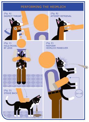 Just incase your cat is choking lol.... Heimlich Maneuver For Dogs, Katt Diy, Heimlich Maneuver, Ouzo, Owning A Cat, Pet Hacks, Cat Facts, Cpr, Pet Training