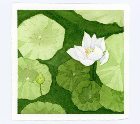 Lilypad Drawing, Water Lilies Illustration, Waterlily Watercolor, Waterlilies Illustrations, Lilypad Watercolor, Water Lily Illustration Art, Watercolor Lilly Pad, Water Lily Gouache, Watercolor And Ink Illustration