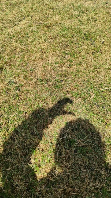 Fake Shadow Snaps, Nature Fake Snap, Fake Aesthetic Snaps, Shadow Pics Aesthetic, Snapchat Fake Pictures, Aesthetic Shadow Pictures, Fake Ig Photos, Shadow Snap, Fake Pictures Snapchat