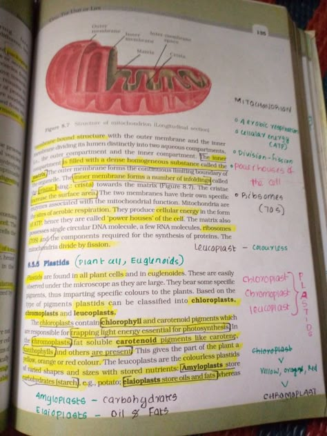 Cell The Unit Of Life Notes Class 11, Ncert Biology Class 11, Ncert Biology, Biology Lover, Biology Class 11, Neet Biology, Bio Notes, Neet Notes, Study Hard Quotes