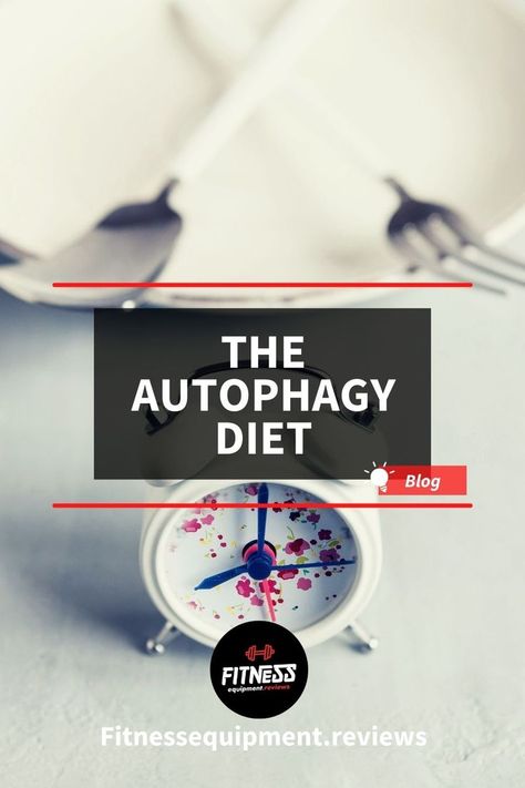 What is autophagy and how can you use it in your diet to maximize weight loss among other things? Come learn the secrets of Autophagy today! Autophagy Diet Plan, What Is Autophagy, Fitness Blog, Health And Fitness Tips, Fitness Equipment, Intermittent Fasting, Fitness Diet, How Can, No Equipment Workout