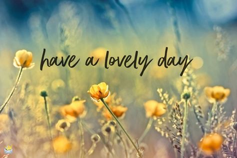 Lovely good morning image for positive thoughts. Have A Lovely Day Images, Lovely Day Quotes Happy, Have A Beautiful Day Images, Good Morning Have A Beautiful Day, Have A Lovely Day Quotes, Have A Beautiful Day Quotes, Lovely Day Quotes, Nice Day Quotes, Happy Day Images