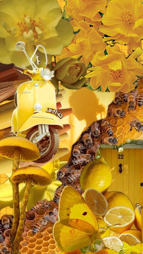 #yellow #yellowaesthetic #honey #lemon Yellow Moodboard, Honey Lemon, Yellow Aesthetic, Mood Boards, Honey, Lemon, Yellow, Pins, Color