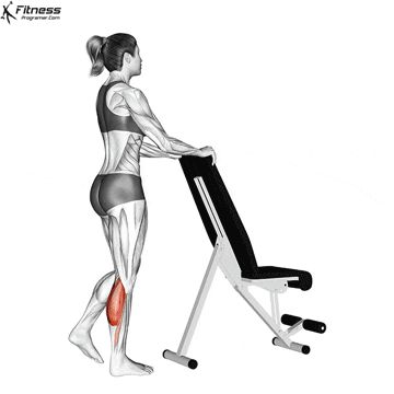 Calf Raises Workout, Calf Workouts, Unilateral Exercises, Calf Raises Exercise, Best Calf Exercises, Bigger Calves, Calf Training, Soleus Muscle, Gastrocnemius Muscle