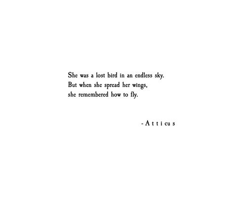 Lost birds. #dreams #are #found #love #atticuspoetry Cute Bird Quotes, Bird Poems Quotes, Quotes About Birds Inspirational, Songbird Quotes, Birds Quotes Inspirational, Bird Quotes Inspirational Short, Atticus Finch Quotes, Bird Poetry, Moon Words