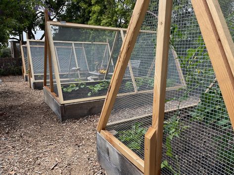 Rodent Proof Garden, Animal Proof Garden, Farm Bungalow, Squirrel Proof Garden, Raised Vegetable Beds, Bungalow Garden, Pea Trellis, Vege Garden, Vegetable Beds