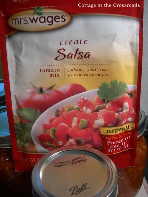 packaged salsa mix Salsa Seasoning Recipe, Ms Wages Salsa Recipe, Dry Salsa Mix Recipe, Salsa Mix Dry, Mrs Wages Salsa Mix Recipe, Mrs Wages Salsa Recipe, Salsa Recipie, Jalapeno Salsa Recipe, Canning Homemade Salsa