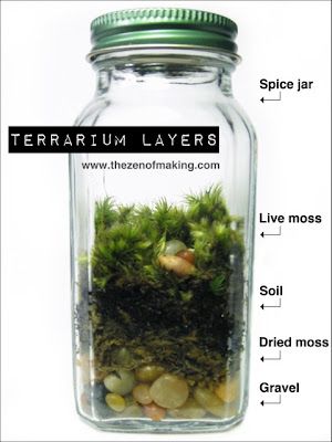 Tutorial: Spice Jar Mini Terrariums #terrariums #tutorial #recycle #upcycle #mini #crafts Terrarium Layers, Mini Templates, Forest Terrarium, Bonsai Terrarium, Mini Terrarium, Terrarium Ideas, Mini Gardens, Moss Terrarium, Moss Garden