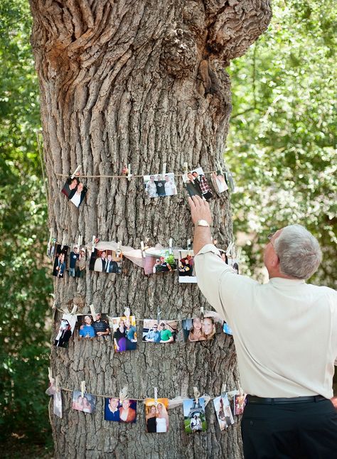 I Do Bbq, Garden Party Decorations, Memory Tree, Picnic Wedding, Floral Event Design, Garden Party Wedding, Brunch Wedding, Garden Parties, Dallas Wedding