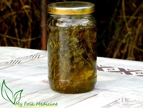 How to Make Thyme Infused Oil at Home? How To Make Thyme Oil, Thyme Oil Recipes, Thyme Oil Benefits, Thyme Infused Olive Oil, Infused Oil Recipes, Herb Infused Olive Oil, Herbs Uses, Essential Oils For Healing, Oils For Healing