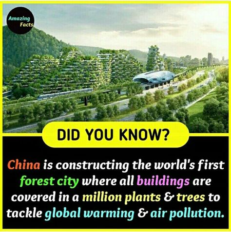 Random History Facts, Weird But True Facts, Facts About China, China Facts, English Terms, Happy Facts, Weird History Facts, Daily Fun Facts, Wierd Facts