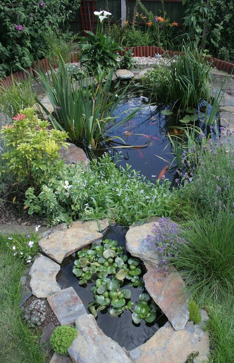 Cute little inground pond!!! Bebe'!!! Planted with varieties of iris and other bog and water plants!!! Taman Air, Garden Pond Design, Garden Water Feature, Small Pond, Pond Water Features, Pond Landscaping, Backyard Water Feature, Pond Fountains, Water Pond