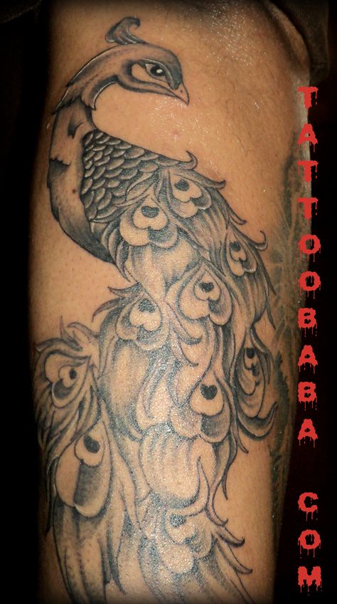 Peacock tattoo in Black and Grey at Tattoobaba Peacock Tattoo On Black Women, Peacock Leg Sleeve Tattoo, Black Peacock Tattoo, Black And Grey Peacock Tattoo, Peacock Tattoo Black And White, Peacock Drawings, Peacock Tattoos, Antler Tattoos, Fingerprint Tattoos