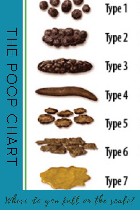 Poop Pictures, How To Poop Instantly, Poop Aesthetic, Poop Chart Meaning, Poo Poo, Poop Meaning, Are You Pooping, What Does My Poop Mean, Everybody Poops Sign