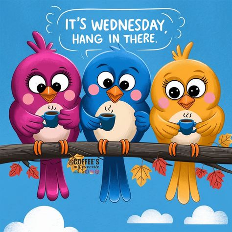 #coffeesmyfavorite #wednesday #humor #humorviral #funny #funnymemes #funnymoments #birds Wednesday Memes Funny, Wednesday Humor Funny Hilarious, Happy Wednesday Funny, Morning Stickers, Wednesday Funny, Good Morning Happy Wednesday, Wednesday Memes, Day And Night Quotes, Great Day Quotes