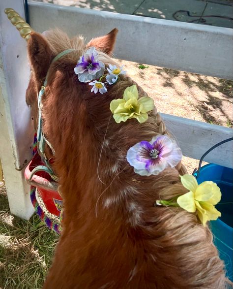 I dressed this pony up as a unicorn and added flowers to his mane! Tail Hairstyles, Unicorn Pony, Tail Hairstyle, Horse Mane, Mane N Tail, Brown Horse, A Unicorn, Horse Riding, Stables