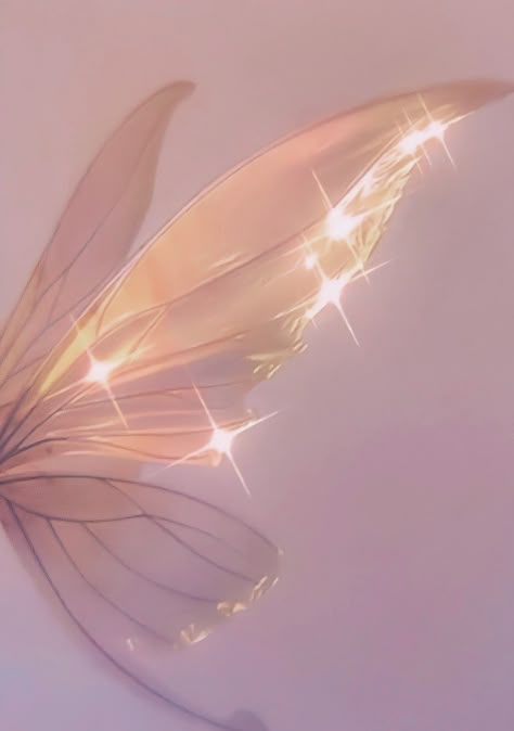 Pink Angel Aesthetic, Fairy Wings Aesthetic, Art Studio Storage, Pink Wallpaper Ipad, Pink Widget, Moonlight Photography, Aura Wallpaper, Beach Sunset Wallpaper, Fairy Wallpaper